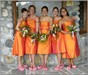 LGPweddingv+kDSC2368 Brides Maids